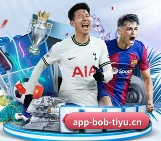 BOB电竞 APP