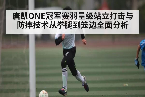 唐凯ONE冠军赛羽量级站立打击与防摔技术从拳腿到笼边全面分析